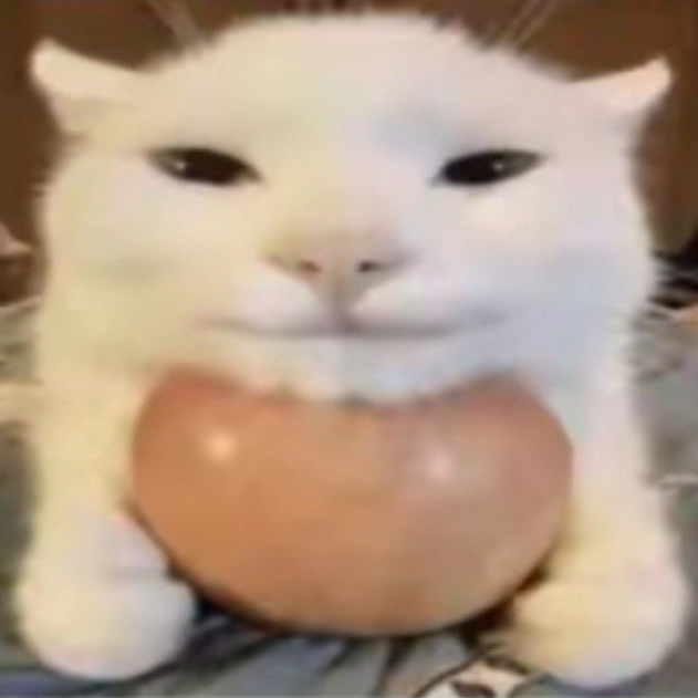 Japórzko